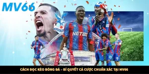Cách Đọc Kèo Bóng Đá – Bí Quyết Cá Cược Chuẩn Xác Tại MV66