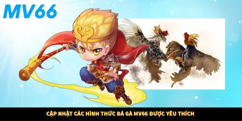 Cập nhật các hình thức đá gà MV66 được yêu thích