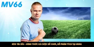 Kèo Tài Xỉu – Hình Thức Cá Cược Dễ Chơi, Dễ Phân Tích Tại MV66