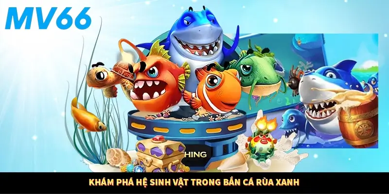 Khám phá hệ sinh vật trong bắn cá rùa xanh