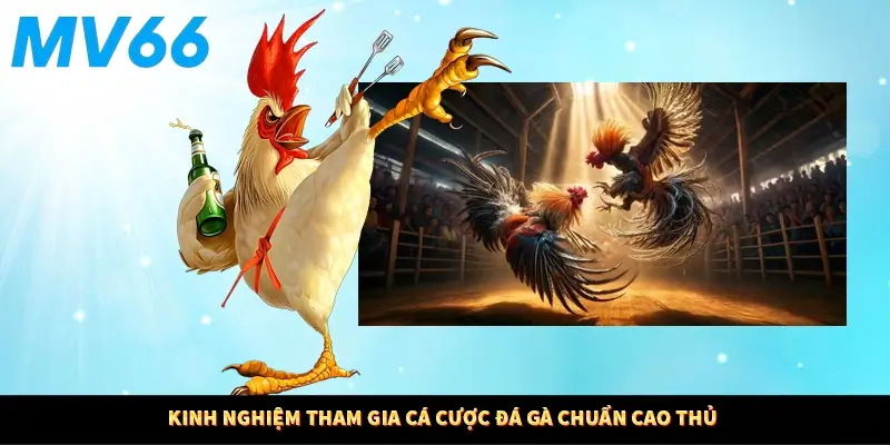 Kinh nghiệm tham gia cá cược đá gà chuẩn