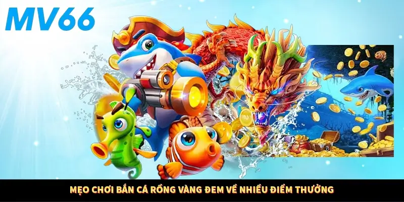 Mẹo chơi bắn cá rồng vàng đem về nhiều điểm thưởng