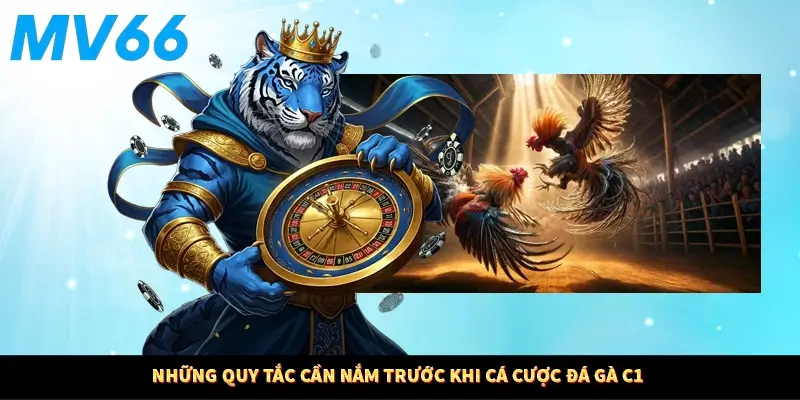 Những quy tắc cần nắm trước khi cá cược đá gà C1