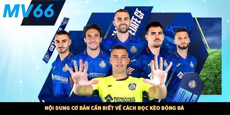 Nội dung cơ bản cần biết về cách đọc kèo