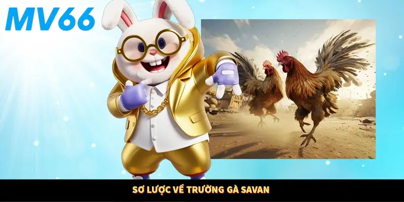 Sơ lược về trường gà Savan