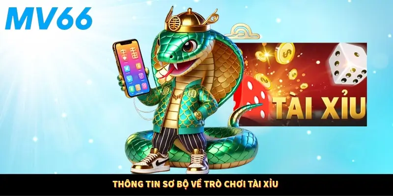 Thông tin sơ bộ về trò chơi tài xỉu