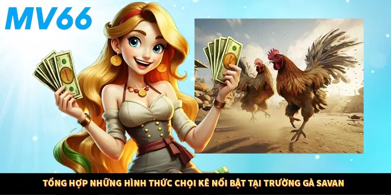 Tổng hợp những hình thức chọi kê nổi bật tại trường gà Savan 