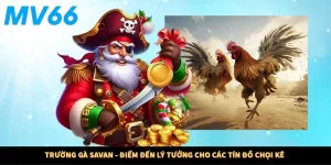 Trường Gà Savan - Điểm Đến Lý Tưởng Cho Các Tín Đồ Chọi Kê