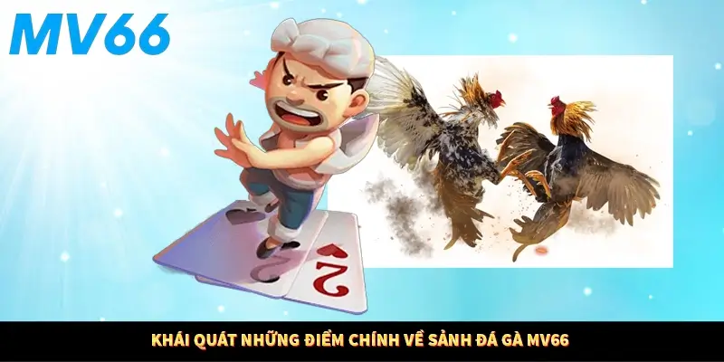 Khái quát điểm chính về sảnh đá gà MV66